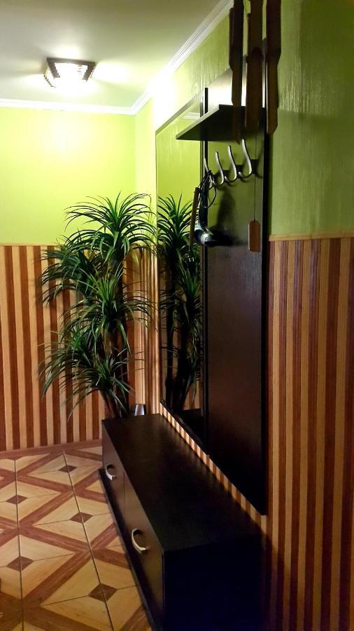 Topilche Apartment 捷尔诺波尔 外观 照片